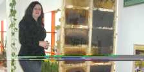 Expoziţia cuprinde mii de albine