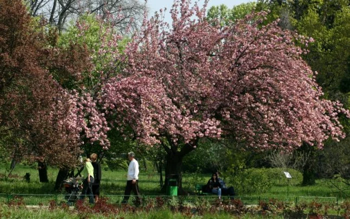 Specialiştii au emis prognoza meteo pe două săptămâni FOTO Adevărul