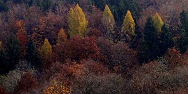 În sfârşit, vine toamna în toată România