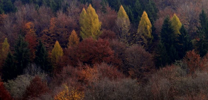 În sfârşit, vine toamna în toată România