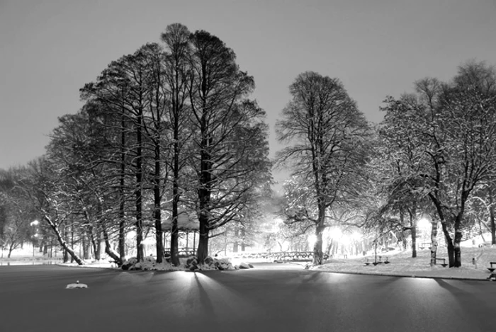 Parcul Romanescu, locul unde se întâlnesc, de peste un secol, îndrăgostiţii Craiovei