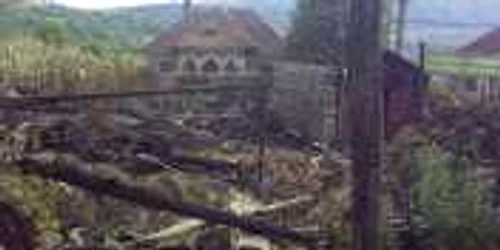 Dezastru dupa incendierea gospodariei profesorului Gheorghe Vladescu, din Titesti