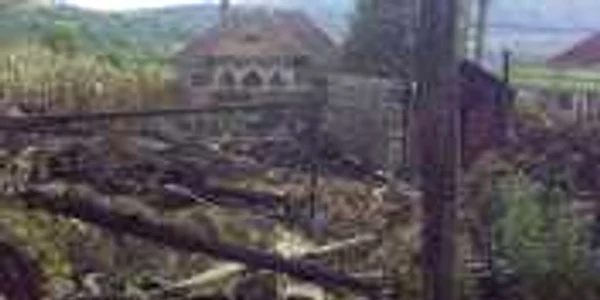 Dezastru dupa incendierea gospodariei profesorului Gheorghe Vladescu, din Titesti