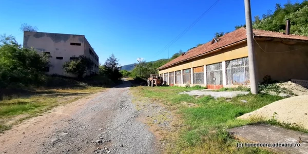 mina boita foto daniel guta adevarul