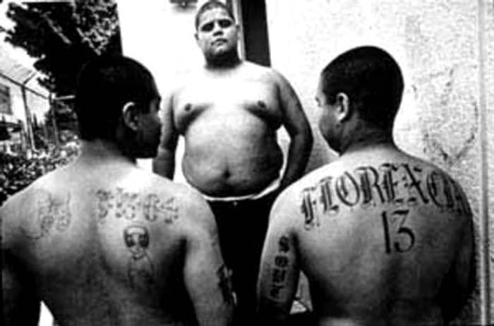 Răfuielile dintre găştile de cartier din Chiacgo au scăpat de sub controlul autorităţilor.