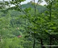Valea Govajdiei Foto Daniel Guță ADEVĂRUL (19) jpg