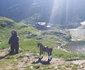 Haosul turistic de pe Transfăgărășan - kitschurile de la Bâlea Lac Foto Turnul Sfatului