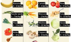 Alimente permise jpeg
