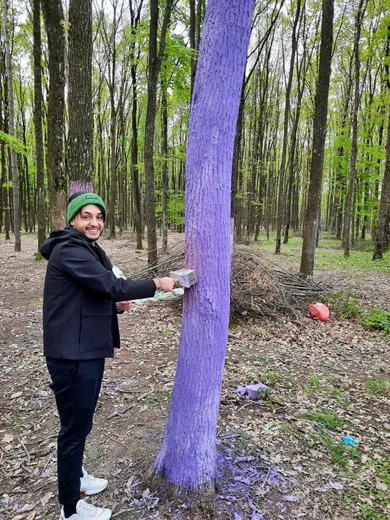 Johny Romano a vopsit copacii / foto: Click!