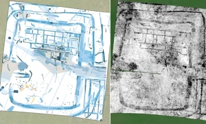 Vilă Pompie Tata galilor jpg