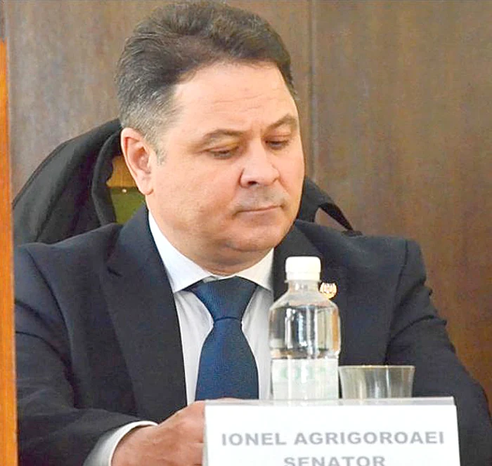 Ionel Agrigoroaei, senator