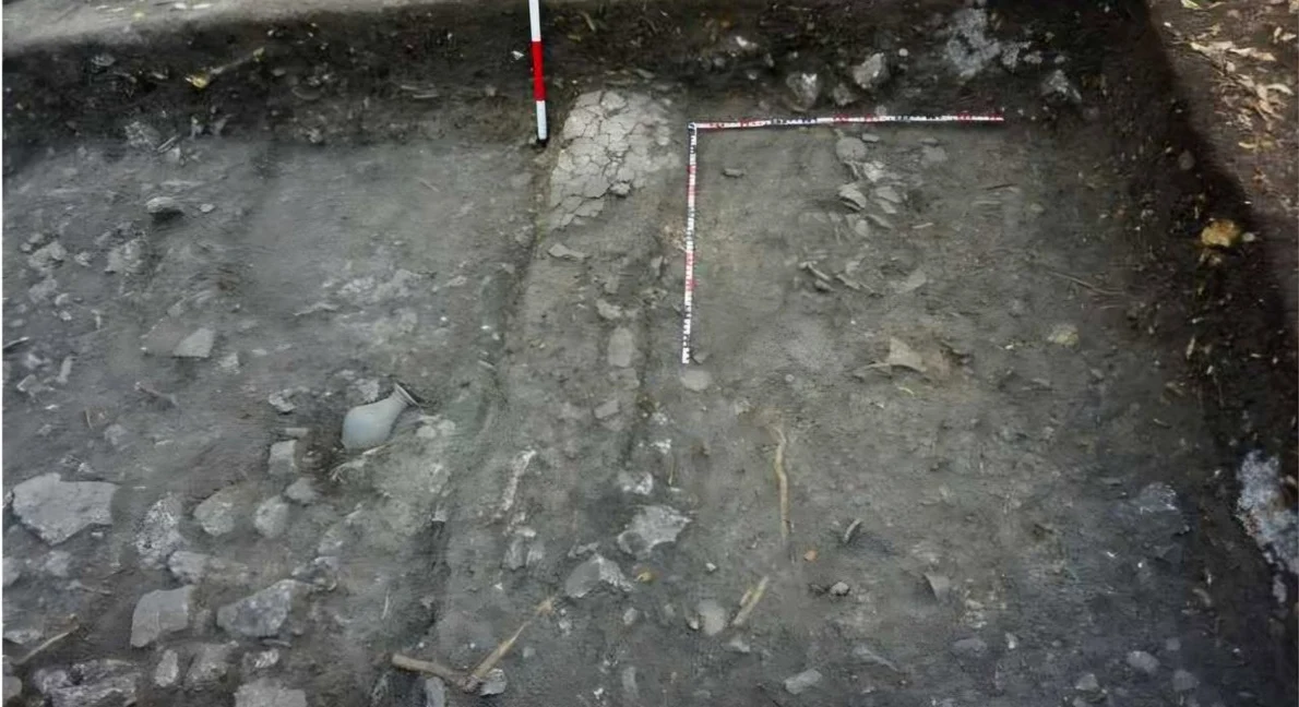 Descoperiri arheologice importante la situl de la Târcov-Piatra cu Lilieci (© Muzeul Județean Buzău)