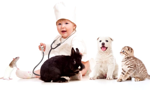 1 68050 original jpg jpeg