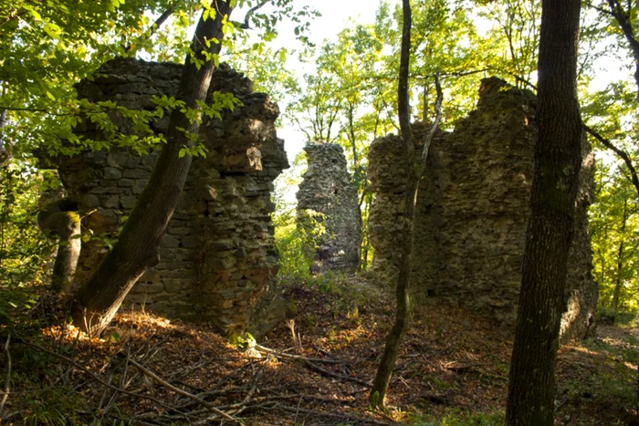 Din Cetatea Aurită au mai rămas azi doar câteva ruine FOTO Szell Sandor