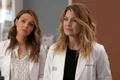 Meredith Gray jpeg