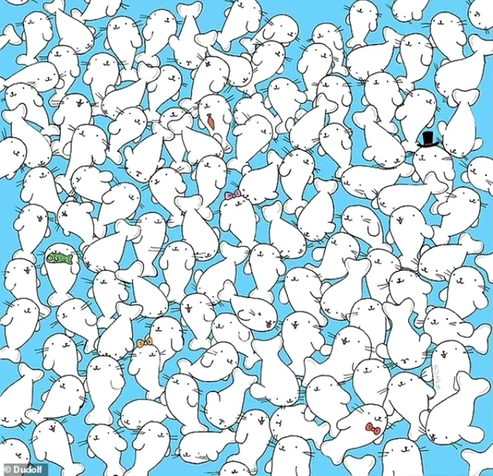 Testul trebuie rezolvat în doar 10 secunde / foto: Dudolf