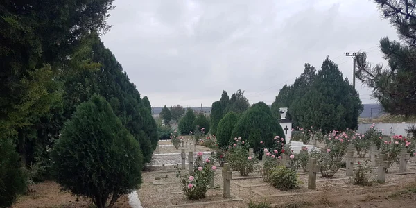 Cimitirul mircea voda sursa foto Cezar Popescu 31965b1b JPG