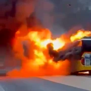 autocar in flacari elvetia jfif