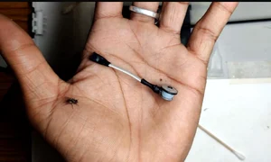 cel mai mic aspirator guinness world records jpg