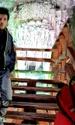 banner salina jpg