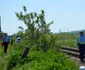 accident tren