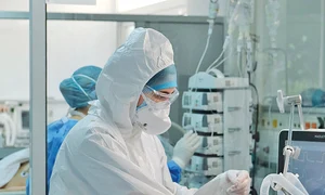 virus 2   shutterstock 1852547902 jpeg