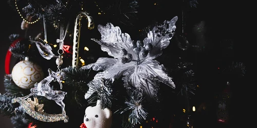 Brad impodobit de Craciun (6) jpg