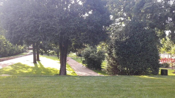 Parcul de la Flora este gata de inaugurare FOTO Ş.Both