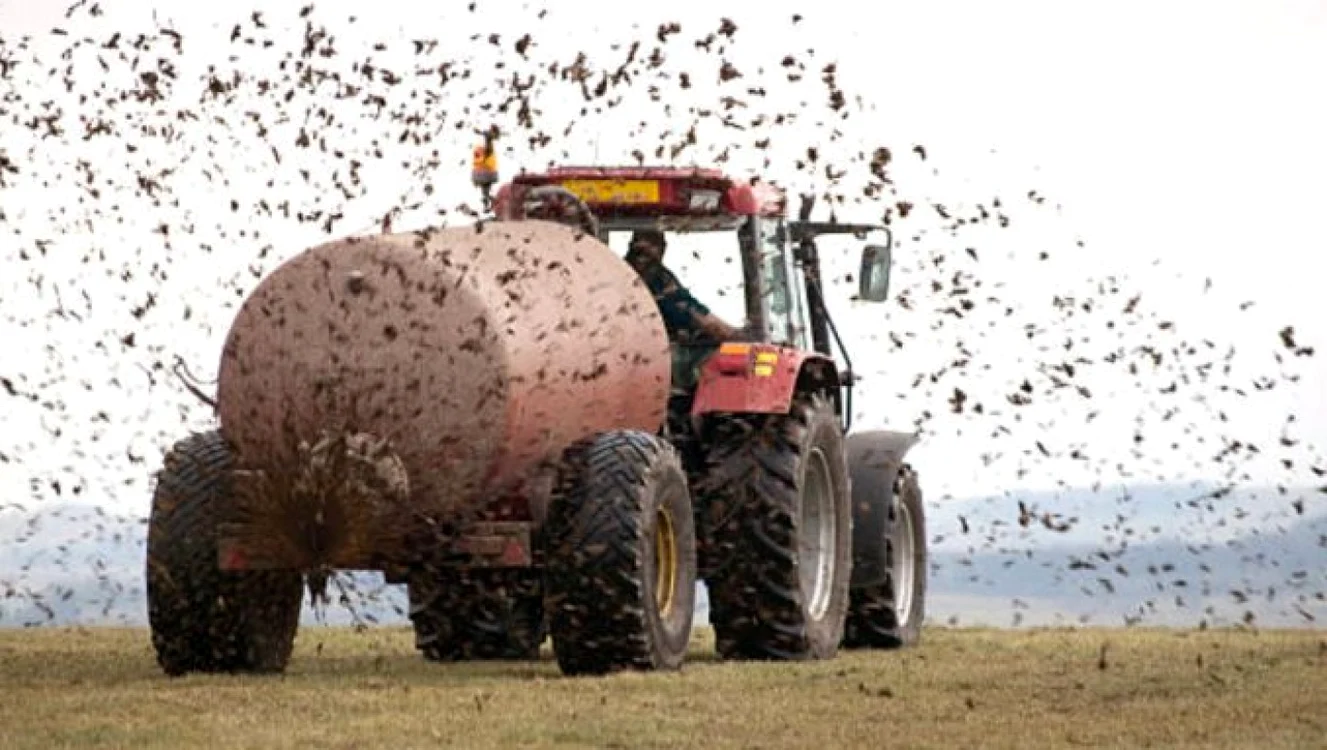 Gunoi grajd. FOTO:  Agrointeligenţa