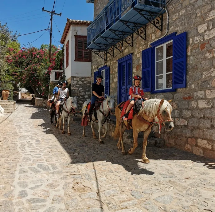 FOTO: Facebook/Harriet's Hydra Horses