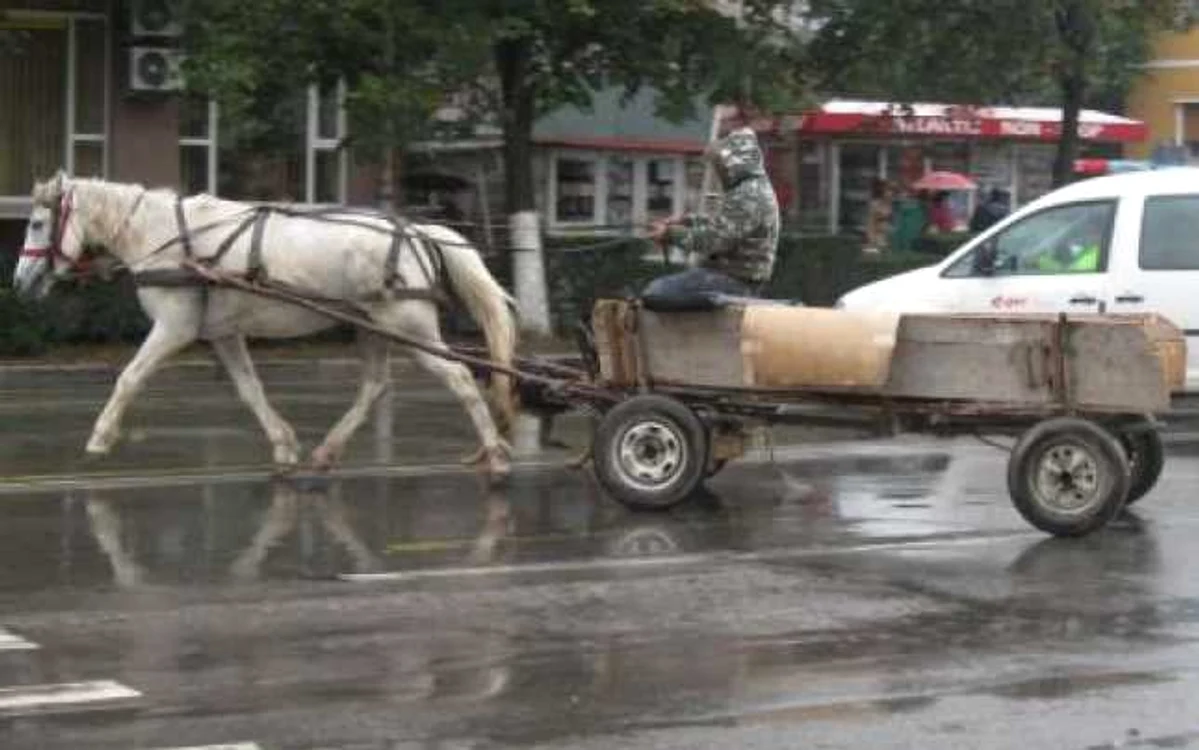 Foto: I. Tudor (Arhivă)