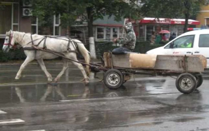 Foto: I. Tudor (Arhivă)
