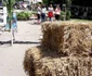 Cochetul sătuc maghiar Kübekháza