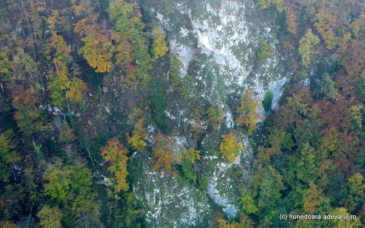 Locul unde se află Peștera Bodii. Foto: Daniel Guță