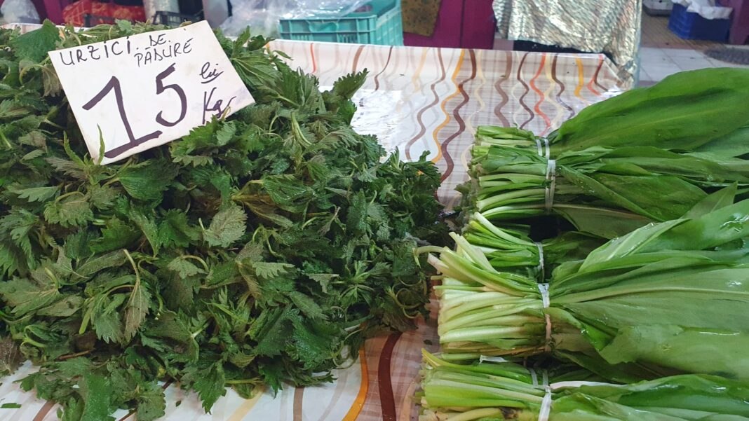 Prețul luxului: urzicile și leurda, verdețuri pline de vitamine!