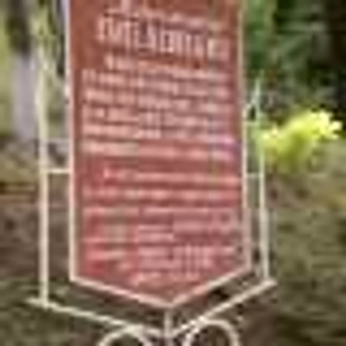 monument emil rebreanu