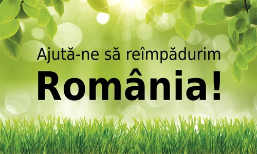 1 59284 original jpg jpeg