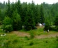 DSCF3450 jpg