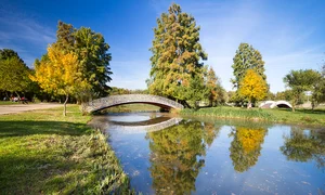 Parcul Tineretului jpg