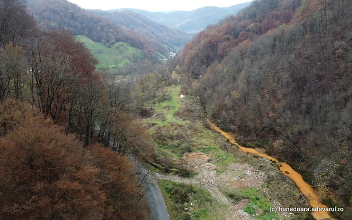 Afluent al Crișului Alb, pe valea Barzei. Foto: Daniel Guță