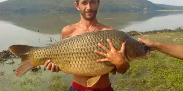 Captură record pe lacul de la Călinești-Oaș, crap de peste 10 kg. Foto: pescuit.ro