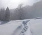 Sarmizegetusa Regia iarna Foto Sorin Zgăvârdean (9) jpg