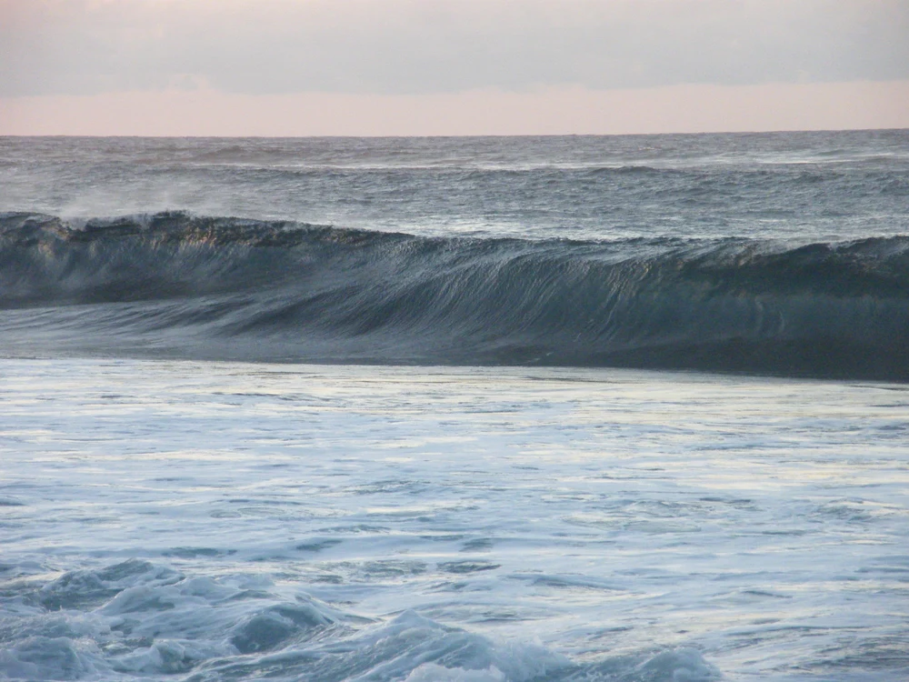 © M. Rasdall / flickr
