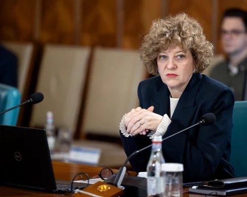 Oana Gheorghiu FOTO gov.ro