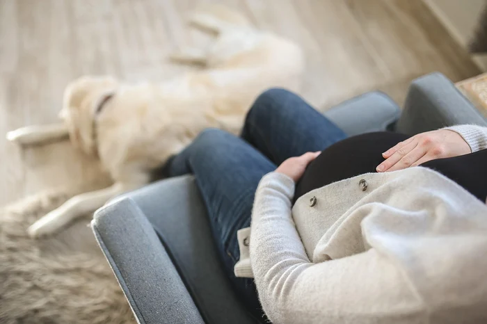 Vedeta din România care se pregătește să devină mamă - Foto: Pixabay 