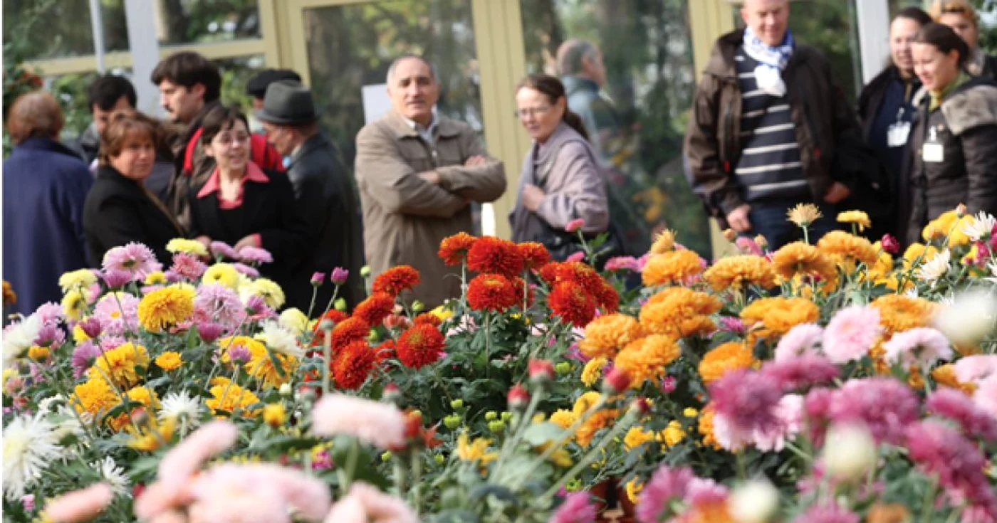 Florile sunt admirate an de an de ieşeni