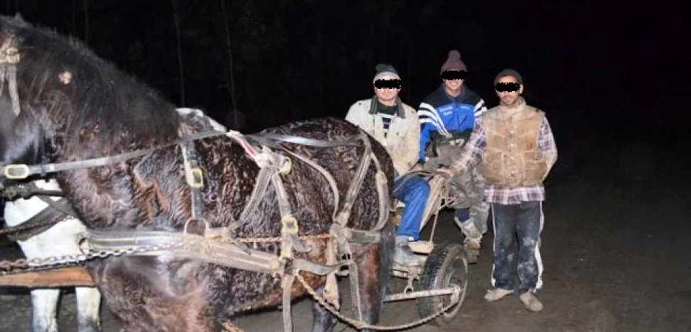 Trei bărbaţi, prinşi de jandarmi la furat de conducte metalice în Şotânga