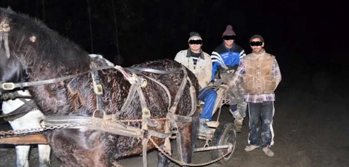 Trei bărbaţi, prinşi de jandarmi la furat de conducte metalice în Şotânga