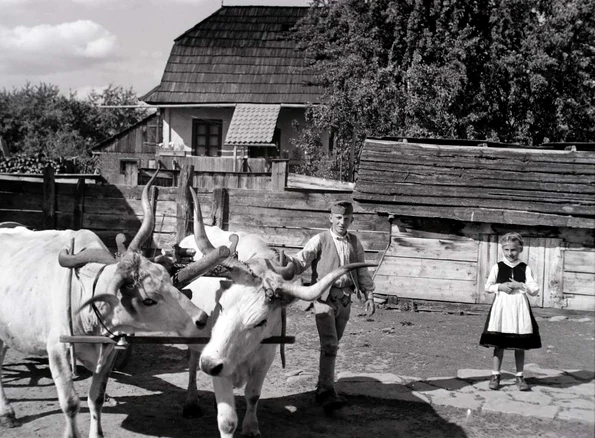 Sat din Transilvania în perioada interbelică (© Fortepan / Divéky István)