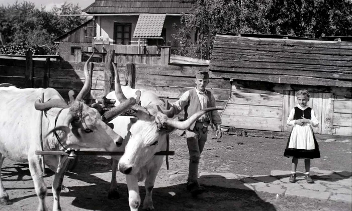 Sat din Transilvania în perioada interbelică (© Fortepan / Divéky István)